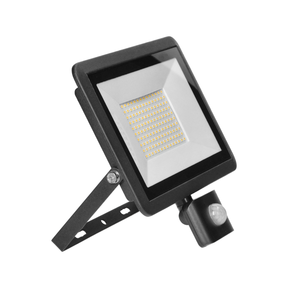 FARO LED, floodlight with PIR motion sensor, 100W, 8000lm, IP44, 4000K, aluminium + glass